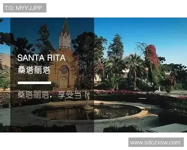 足球明星信用卡助你畅享球场魅力与奢华生活体验